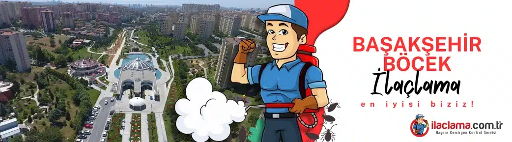 başaksehir böcek ilaçlama hizmeti