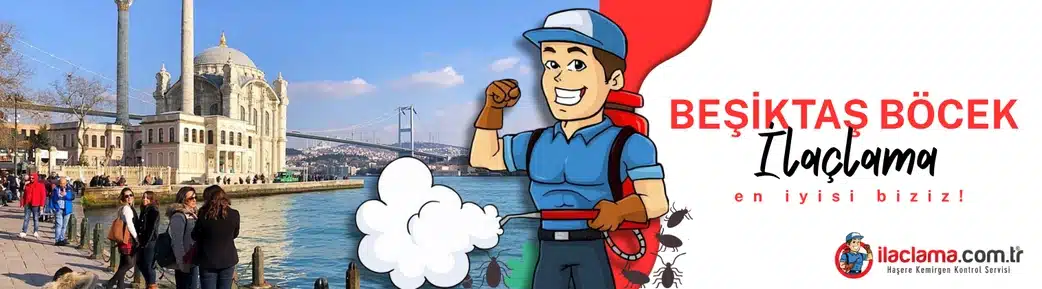Beşiktaş böcek ilaçlama hizmeti