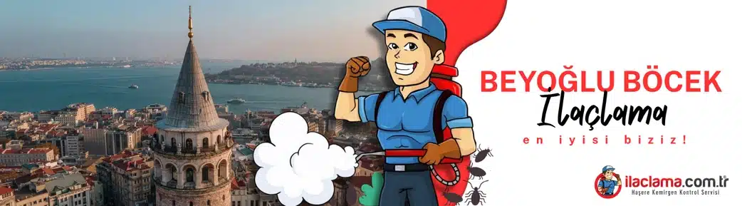 Beyoğlu böcek ilaçlama hizmeti