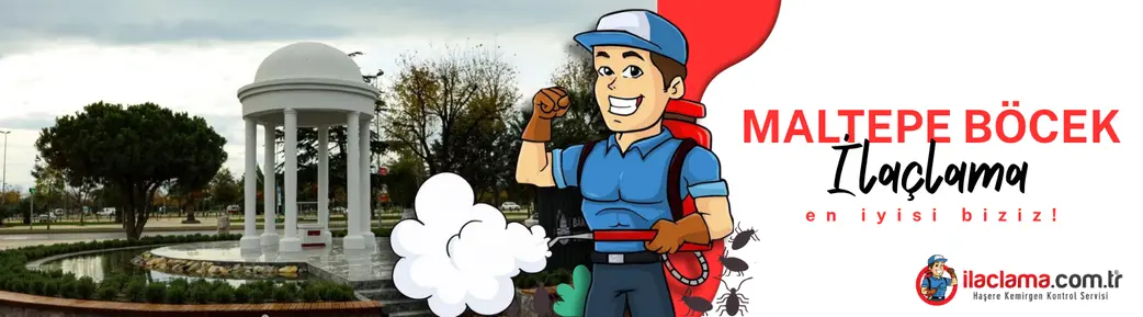 Maltepe böcek ilaçlama hizmeti