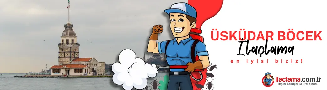 üsküdar böcek ilaçlama şirketi ilaclama.com.tr